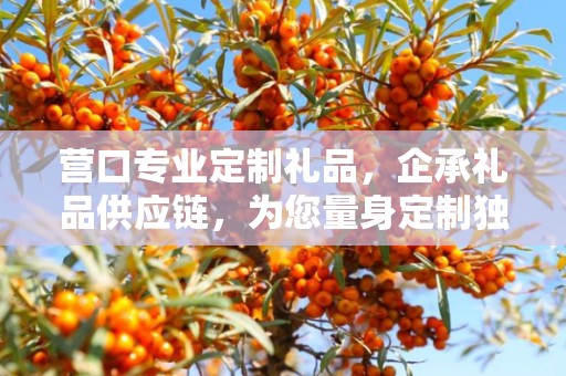 营口专业定制礼品，企承礼品供应链，为您量身定制独特礼品